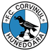 CORVINUL HUNEDOARA